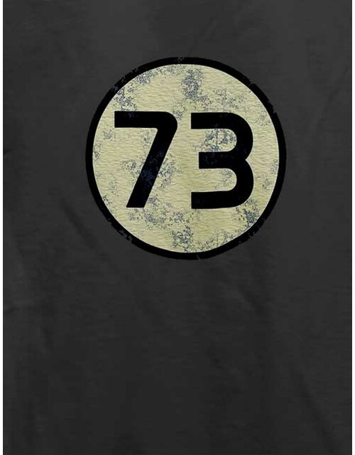 Sheldon 73 Logo Vintage T-Shirt dunkelgrau L