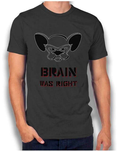Brain Was Right T-Shirt dunkelgrau XL