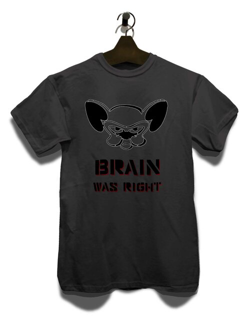 Brain Was Right T-Shirt dunkelgrau XL