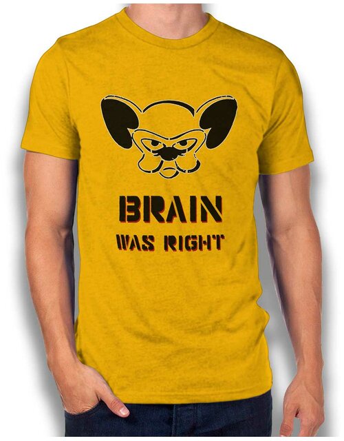 Brain Was Right T-Shirt gelb M