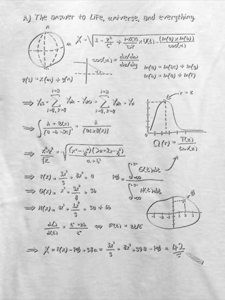 42-formular-answer-t-shirt weiss 4