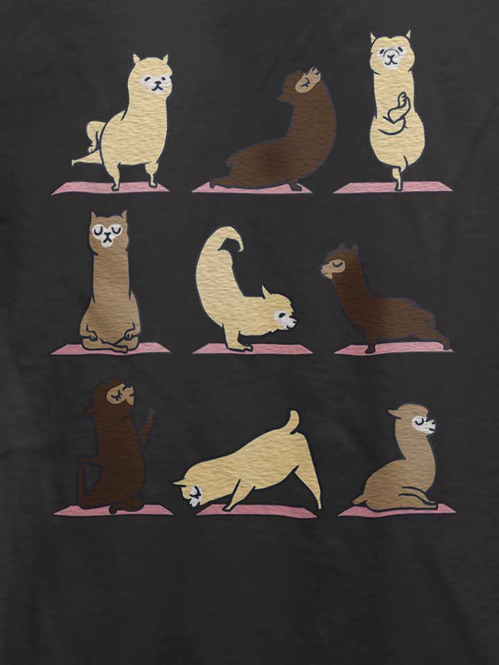 alpaca-yoga-t-shirt dunkelgrau 4