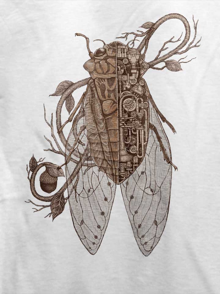 anatomy-of-cicada-t-shirt weiss 4