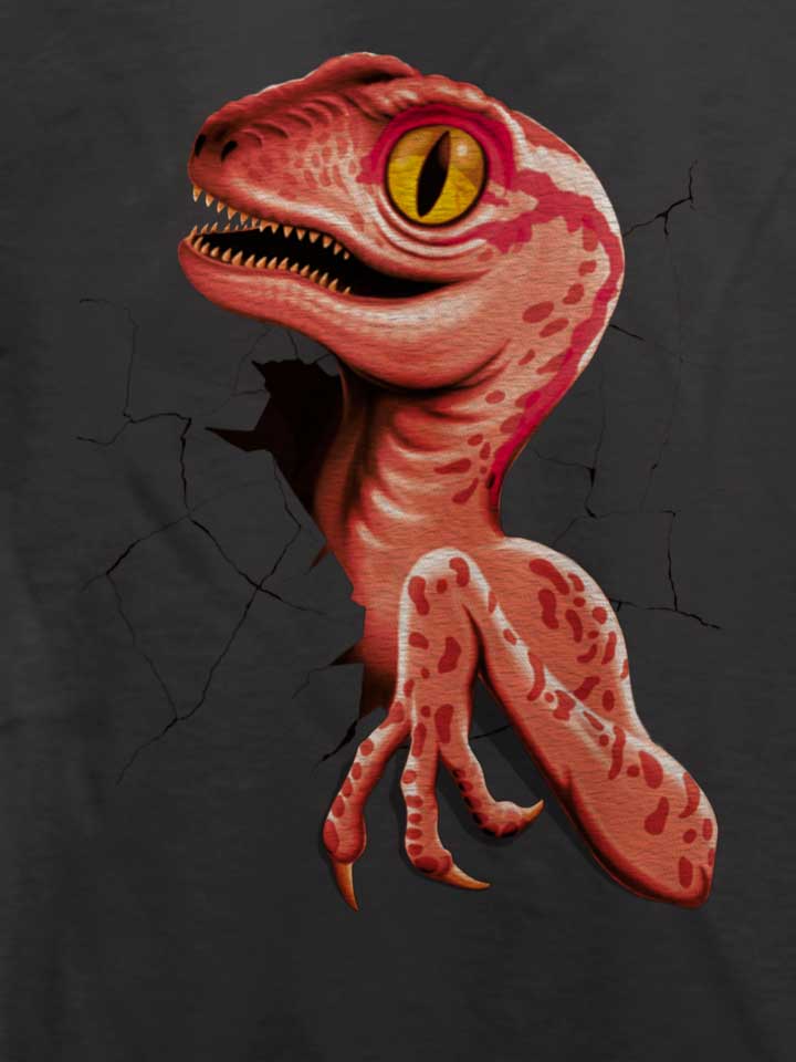 baby-velociraptor-t-shirt dunkelgrau 4