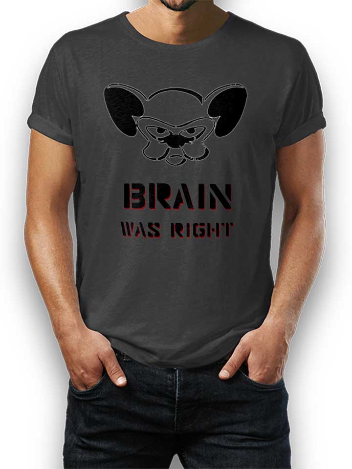brain-was-right-t-shirt dunkelgrau 1