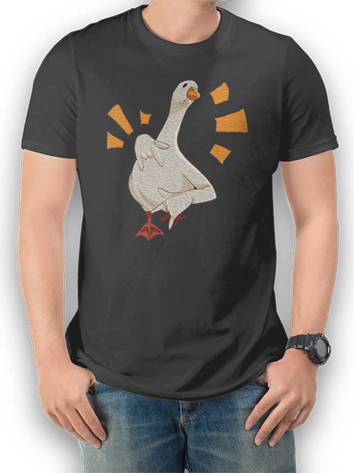 Cool Goose T-Shirt grigio-scuro L
