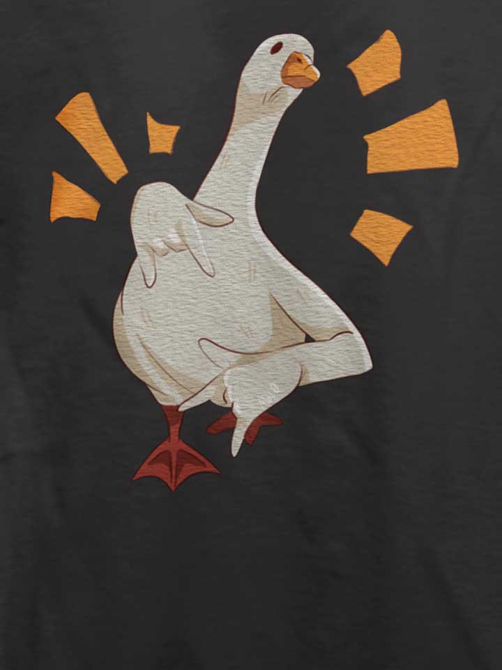 cool-goose-t-shirt dunkelgrau 4
