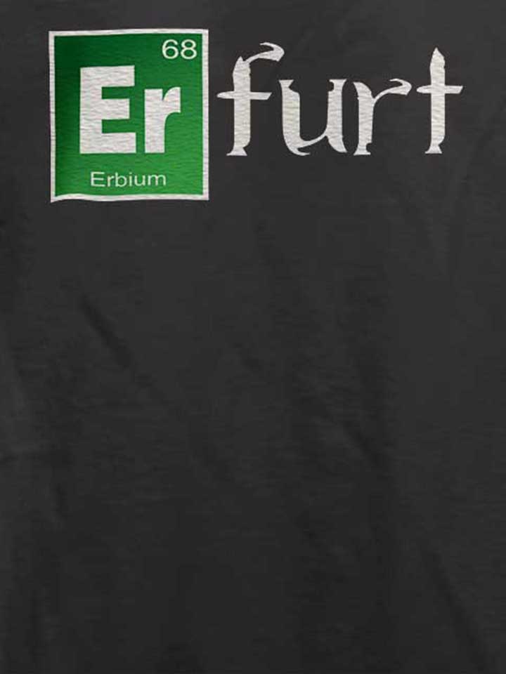 erfurt-t-shirt dunkelgrau 4