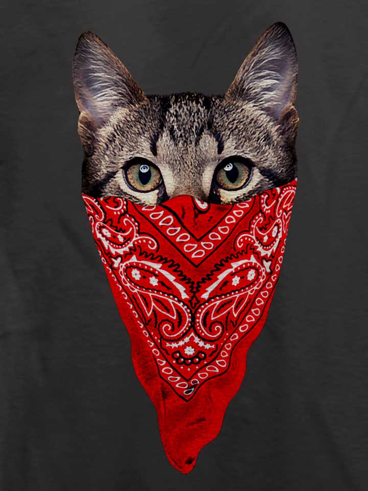 gangster-cat-t-shirt dunkelgrau 4