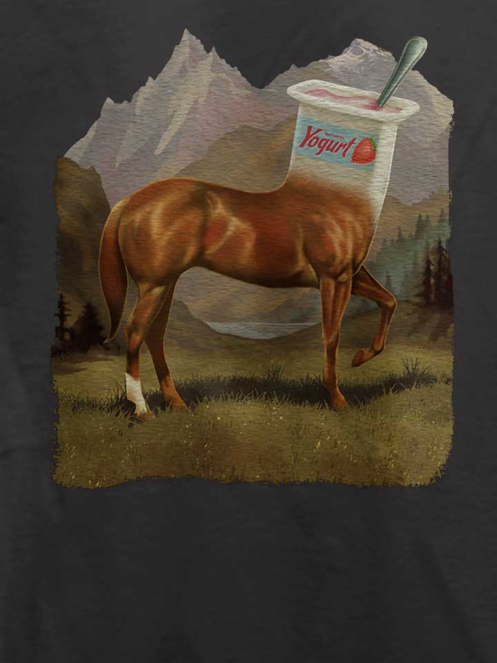 half-horse-half-yogurt-t-shirt dunkelgrau 4