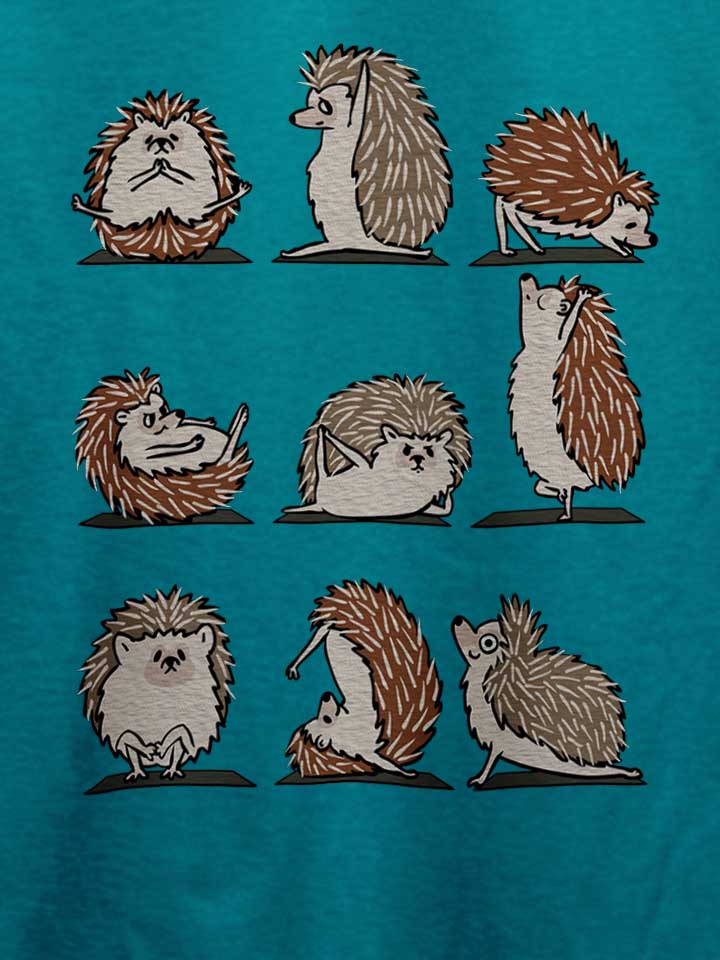 hedgehog-yoga-t-shirt tuerkis 4