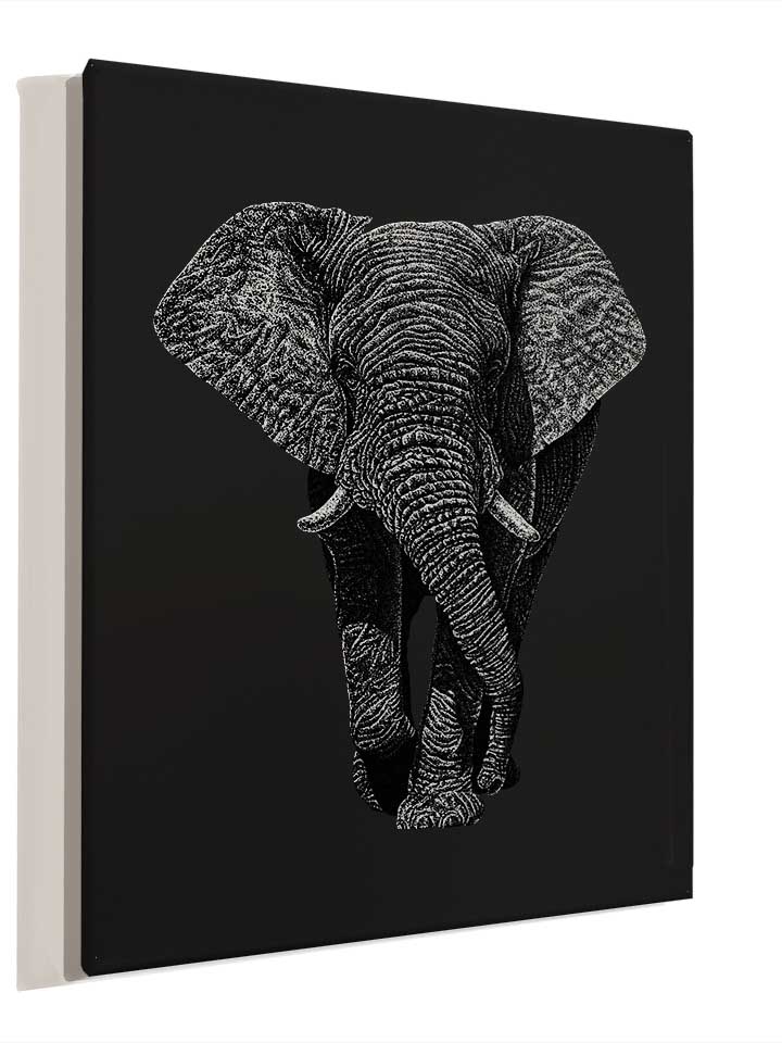 african-elephant-02-leinwand schwarz 4