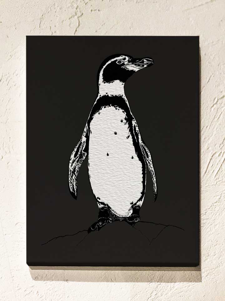 african-penguin-leinwand schwarz 1