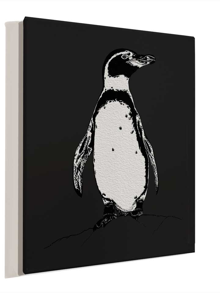 african-penguin-leinwand schwarz 4