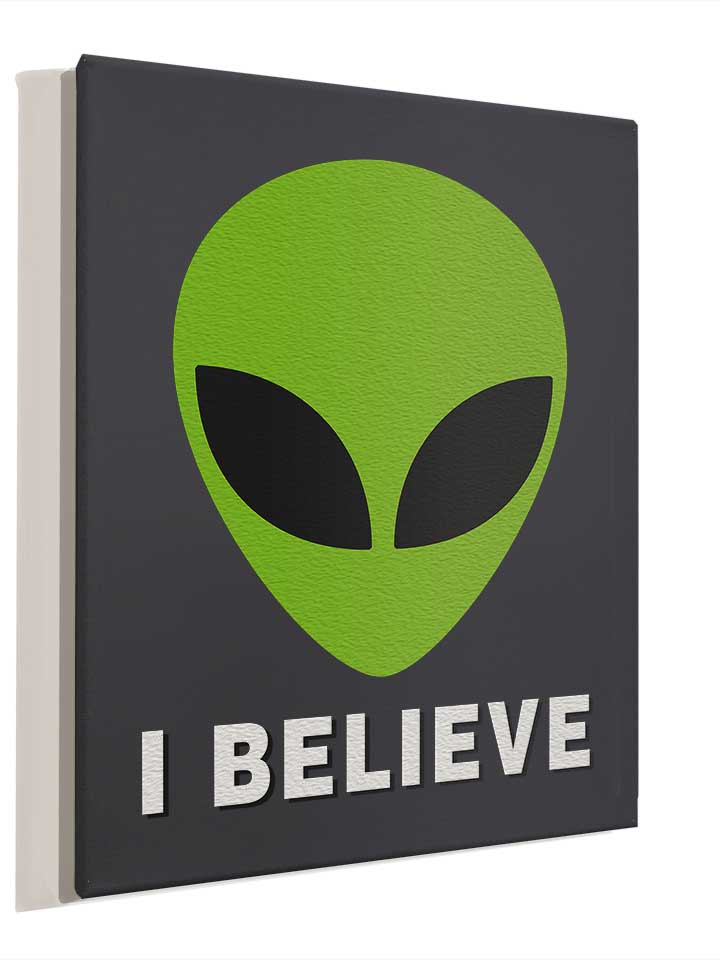alien-i-believe-leinwand dunkelgrau 4