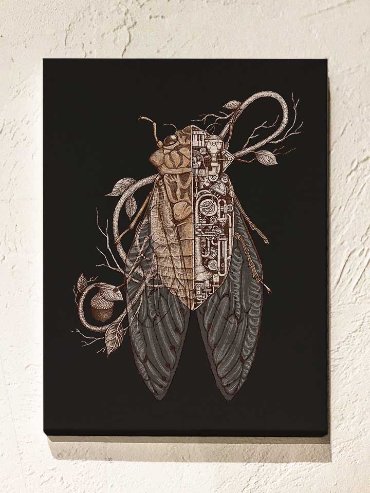 Anatomy Of Cicada Leinwand schwarz 30x40 cm