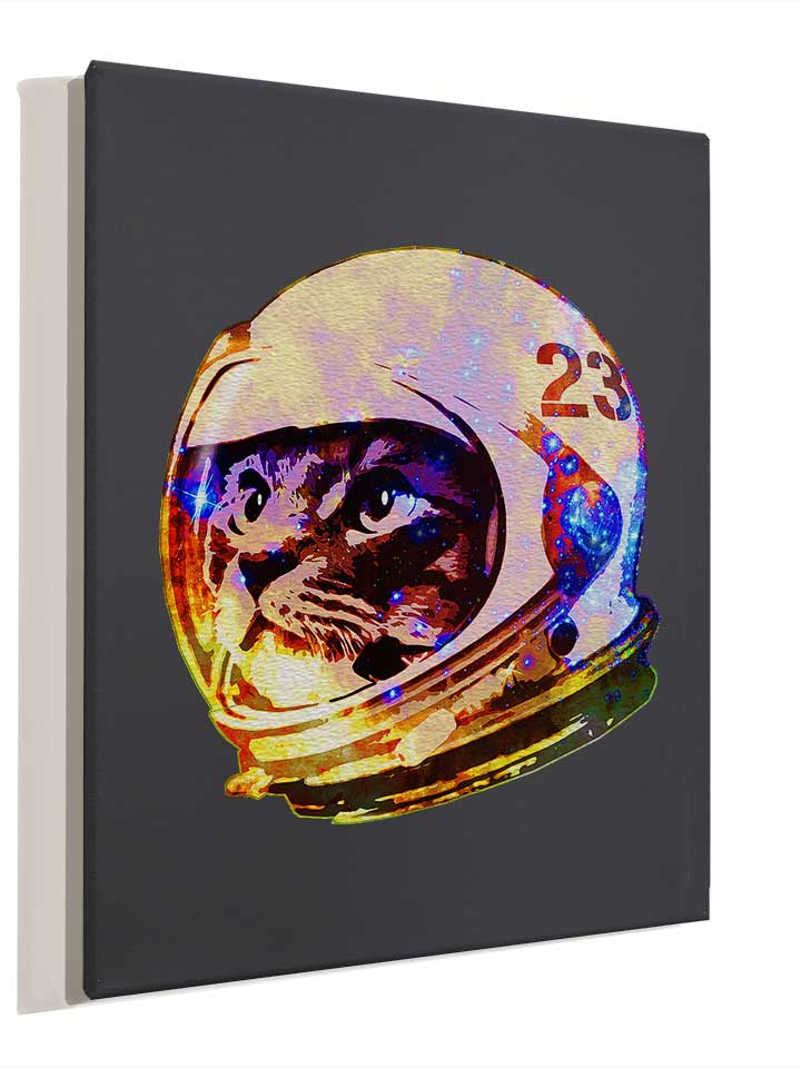 astronaut-space-cat-02-leinwand dunkelgrau 4