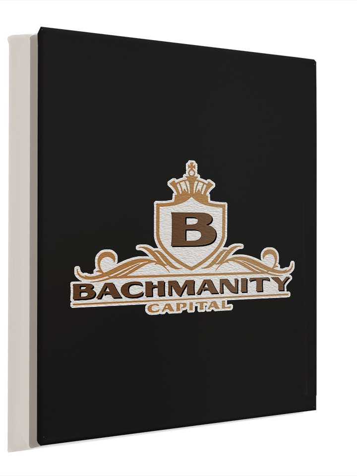 bachmanity-capital-leinwand schwarz 4