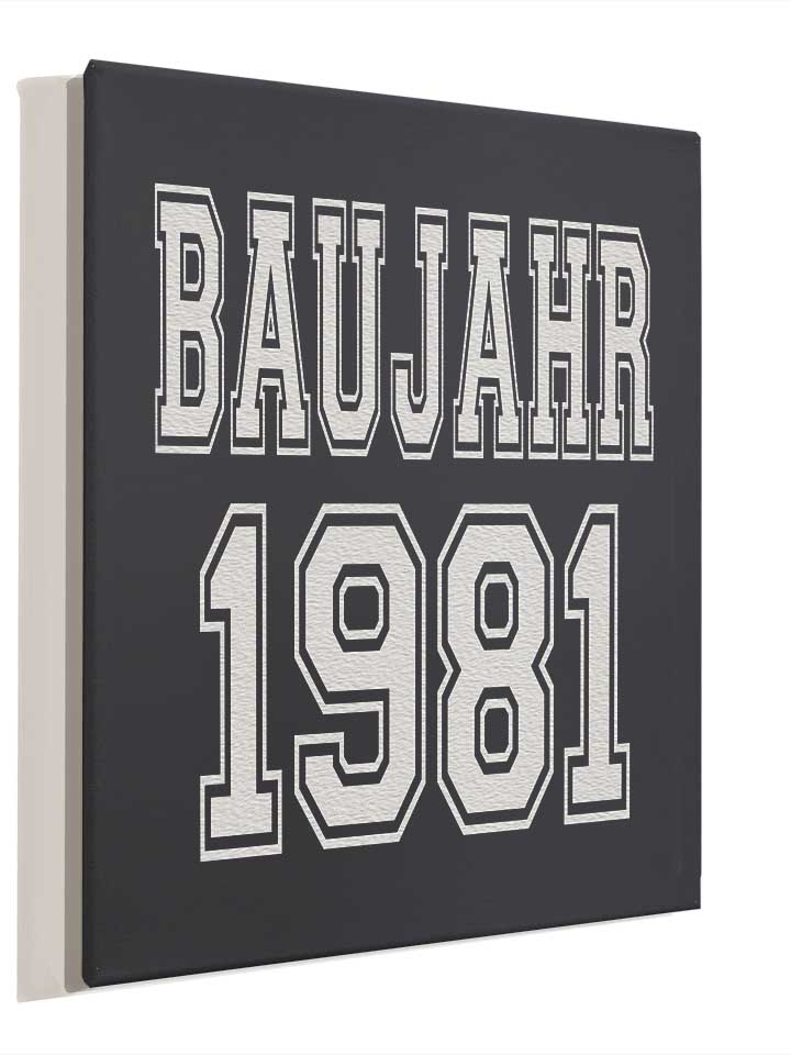 baujahr-1981-leinwand dunkelgrau 4