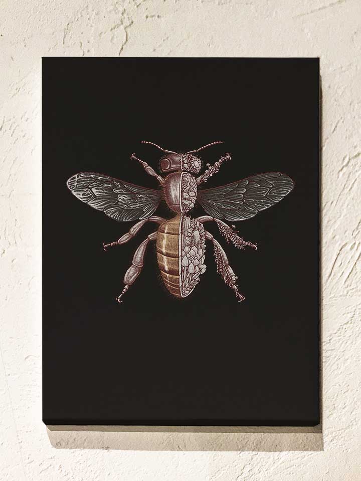 Bee Anatomy Leinwand schwarz 30x40 cm