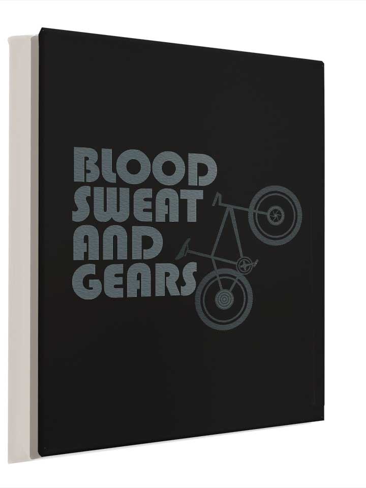bike-blood-sweat-and-gears-leinwand schwarz 4