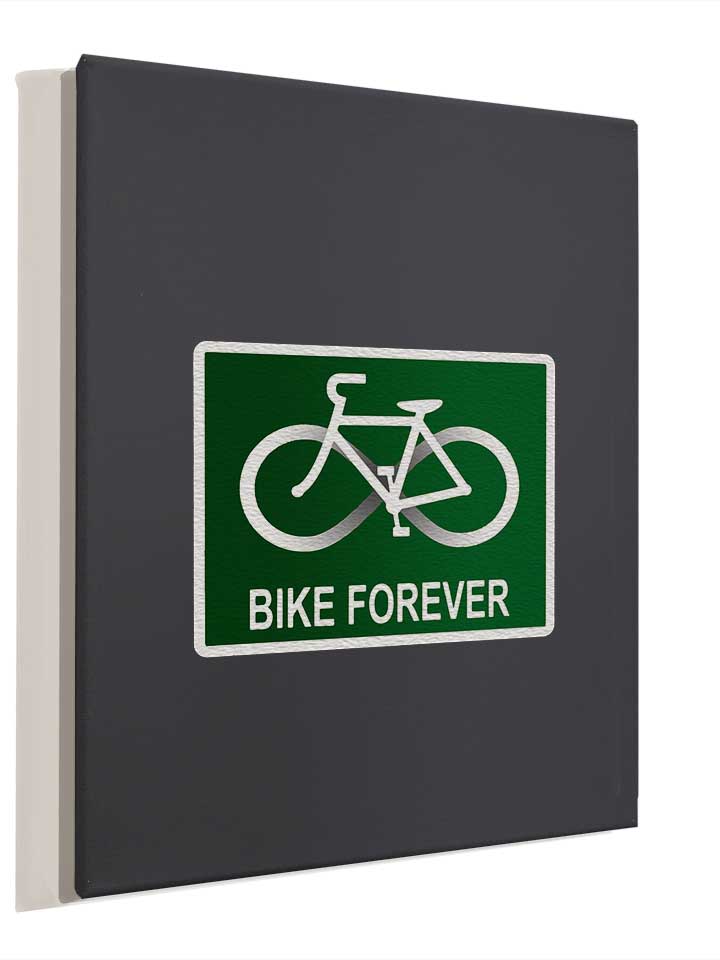 bike-forever-leinwand dunkelgrau 4