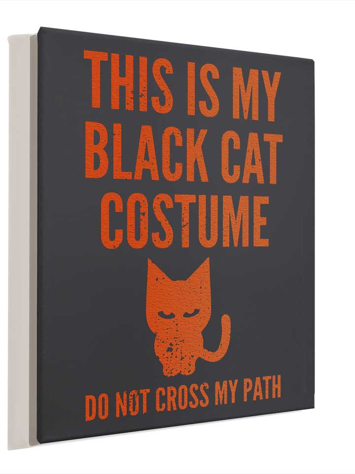black-cat-costume-leinwand dunkelgrau 4