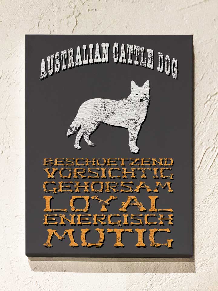 hund-australian-cattle-dog-leinwand dunkelgrau 1