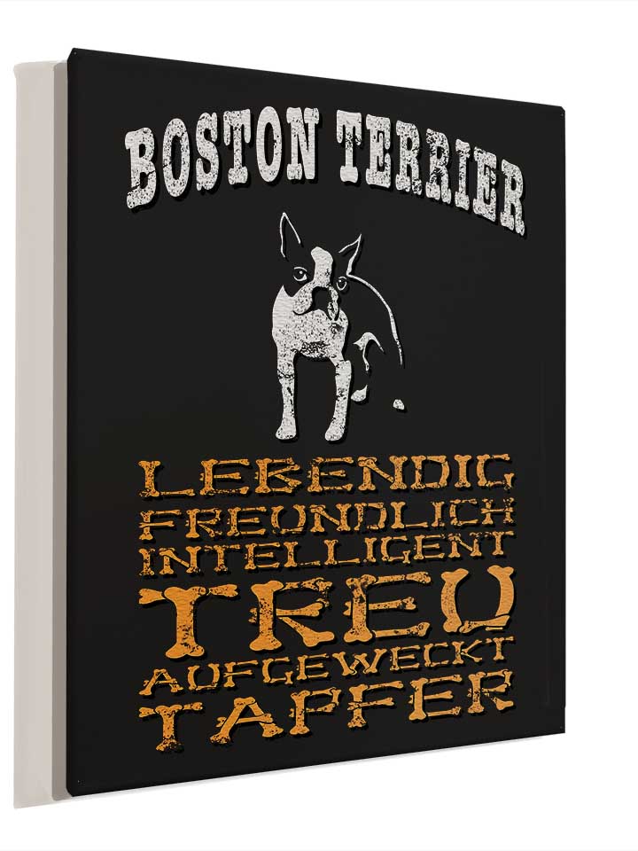 hund-boston-terrier-leinwand schwarz 4
