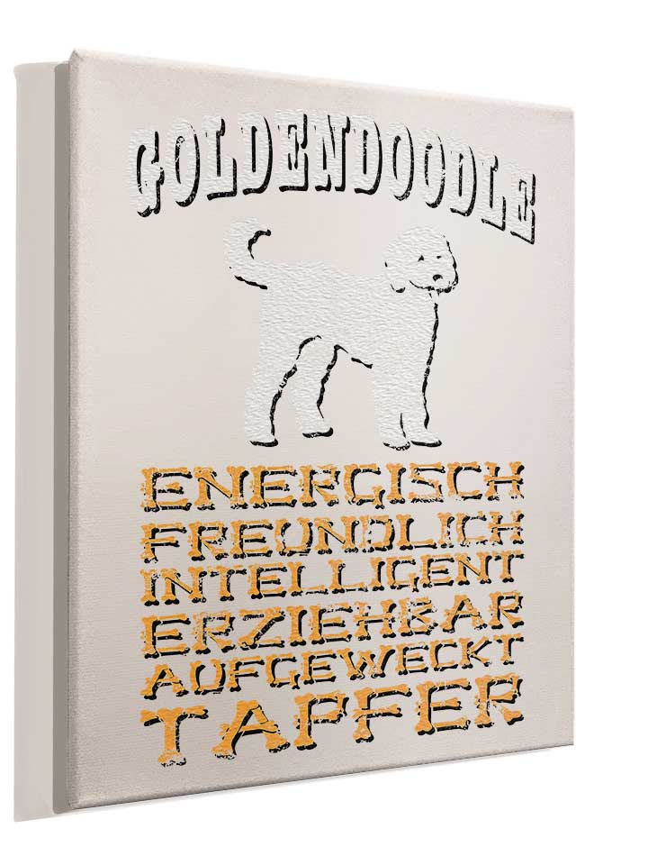 hund-goldendoodle-leinwand weiss 4