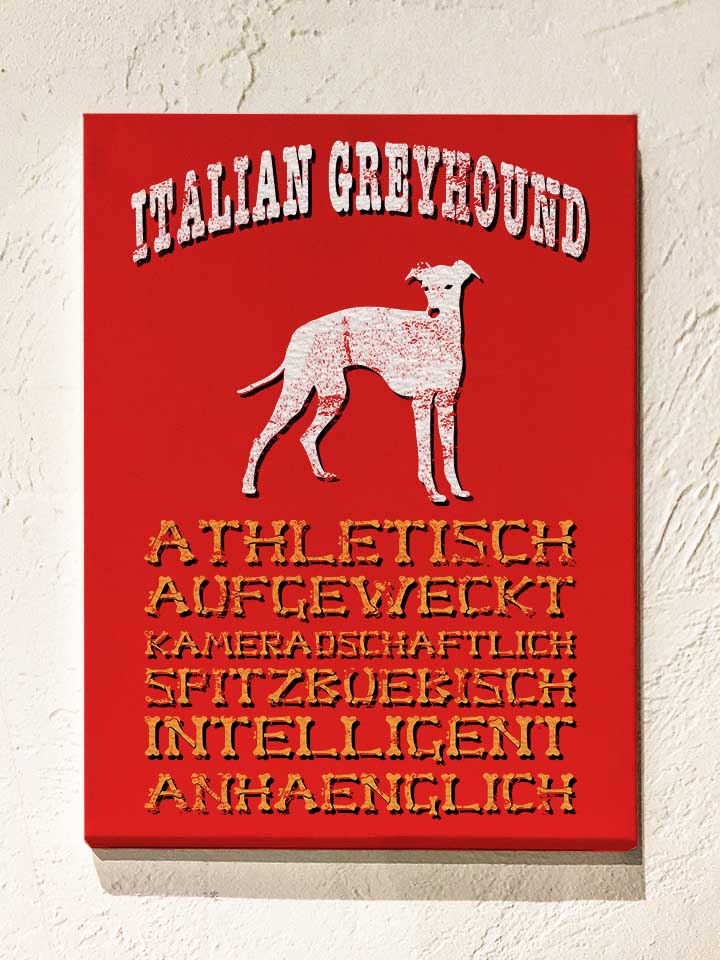 Hund Italian Greyhound Leinwand