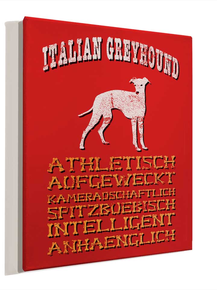 hund-italian-greyhound-leinwand rot 4