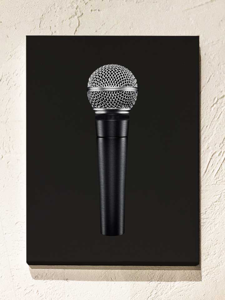 Microphone Leinwand schwarz 30x40 cm