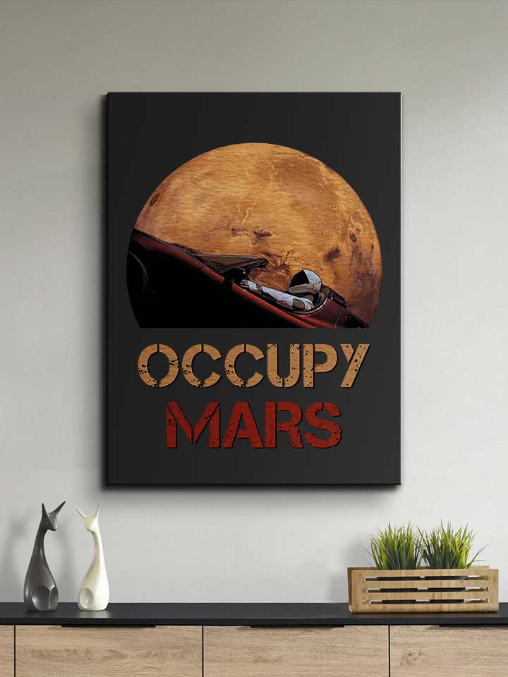 occupy-mars-space-car-leinwand schwarz 2