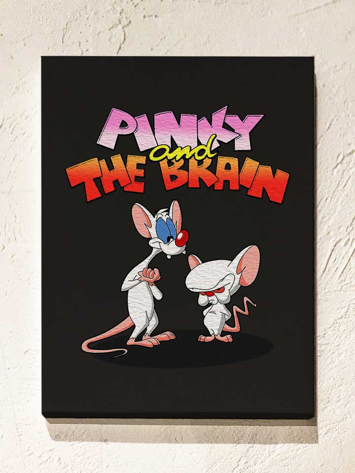 Pinky And The Brain Leinwand schwarz 30x40 cm