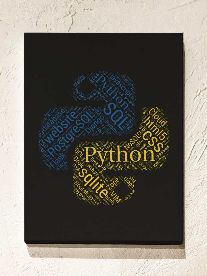 Python Programmer Developer Leinwand schwarz 30x40 cm