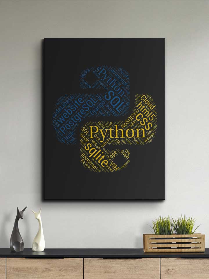 python-programmer-developer-leinwand schwarz 2