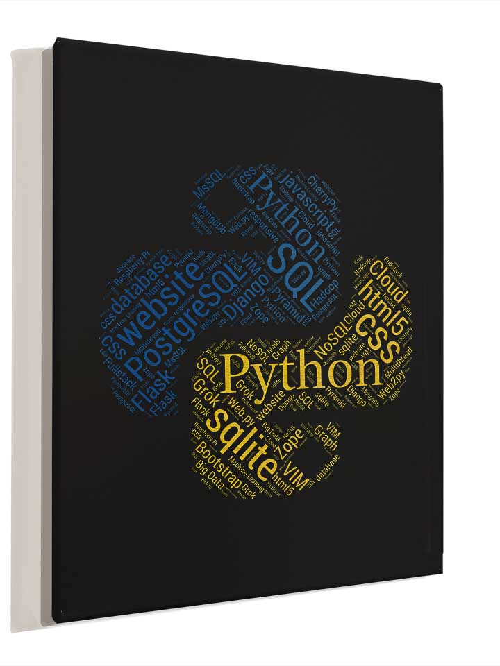 python-programmer-developer-leinwand schwarz 4