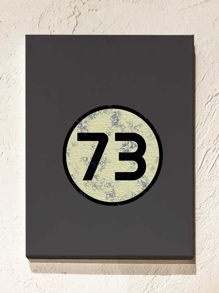 sheldon-73-logo-vintage-leinwand dunkelgrau 1