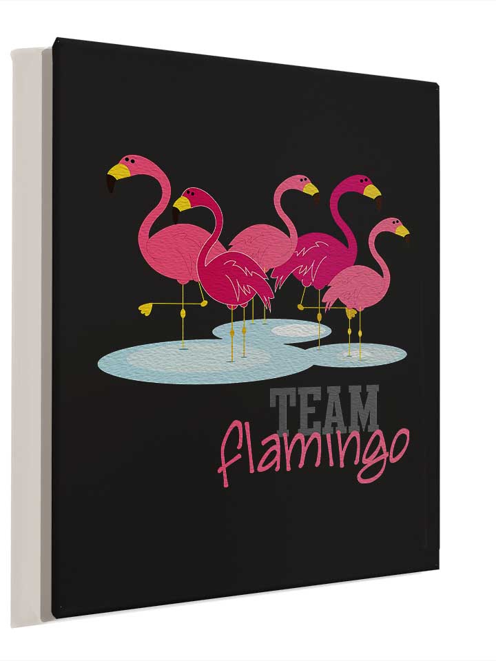 team-flamingo-leinwand schwarz 4