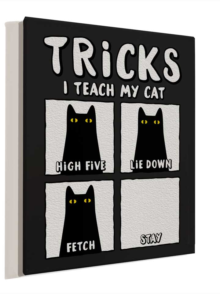 tricks-cat-leinwand schwarz 4