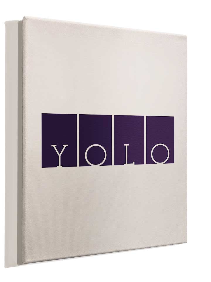 yolo-logo-leinwand weiss 4
