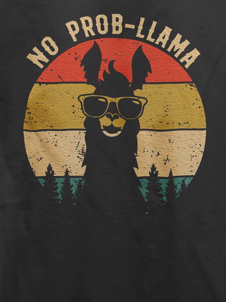 no-prob-llama-t-shirt dunkelgrau 4