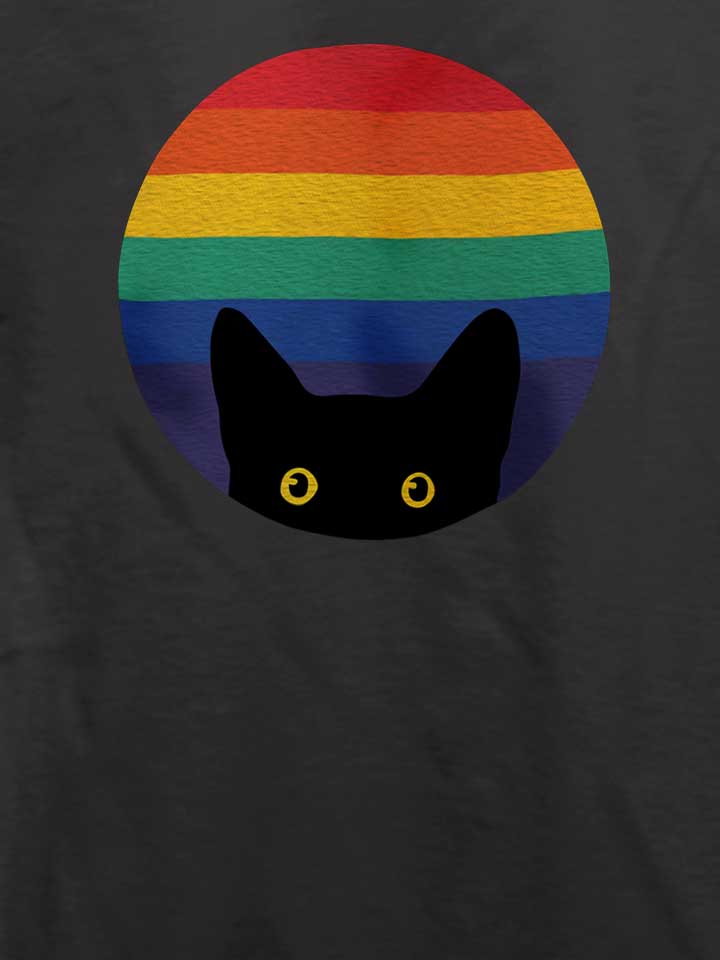 peeking-cat-in-rainbow-circle-t-shirt dunkelgrau 4