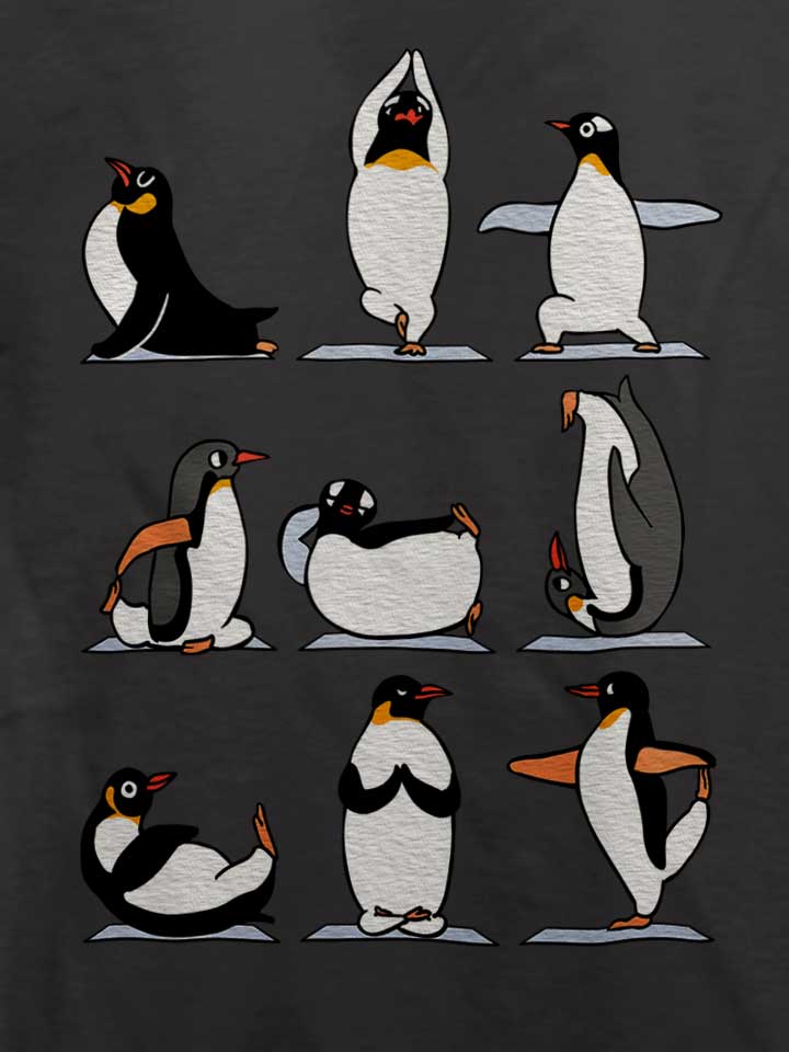 penguin-yoga-t-shirt dunkelgrau 4