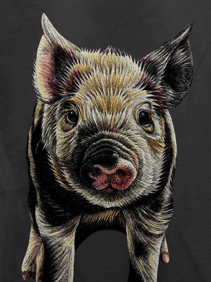 pig-t-shirt dunkelgrau 4