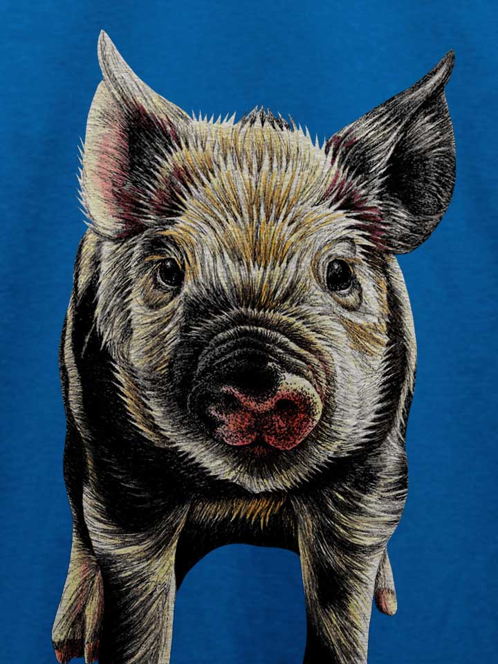 pig-t-shirt royal 4