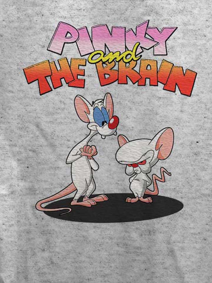 pinky-and-the-brain-damen-t-shirt grau-meliert 4