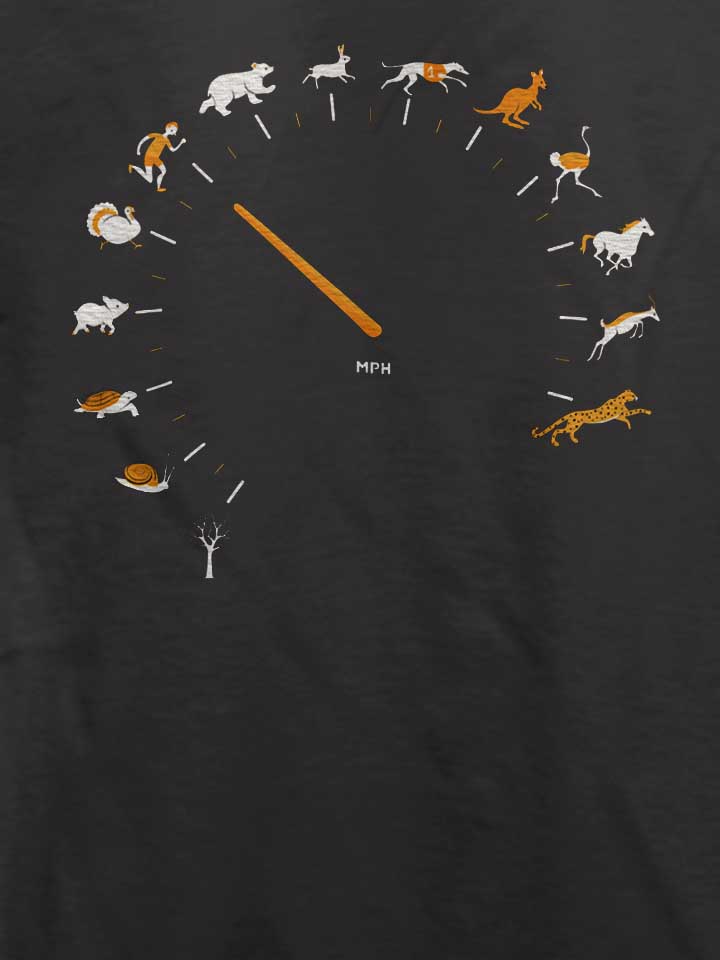 speed-evolution-t-shirt dunkelgrau 4
