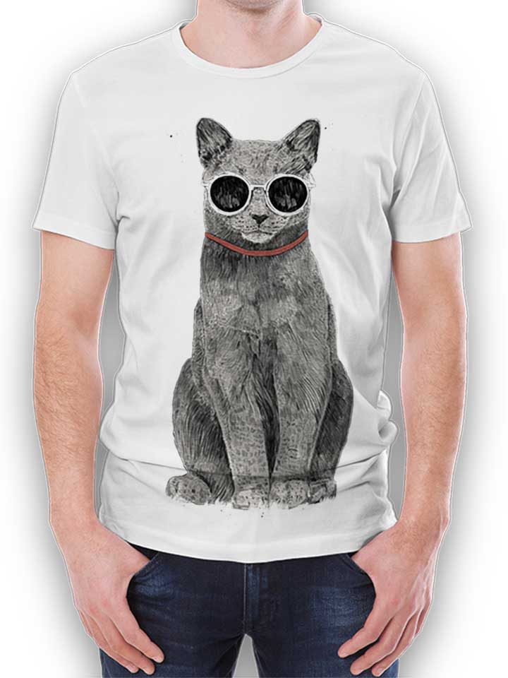 summer-cat-t-shirt weiss 1